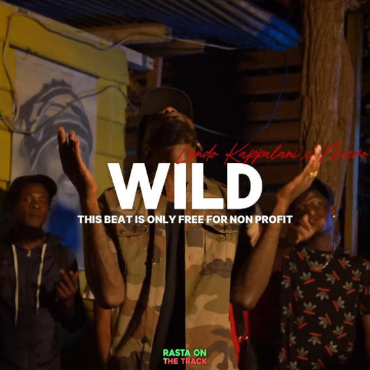 Lando Kappalani x Miero - ''Wild'' | Afro Swing Type Beat |
