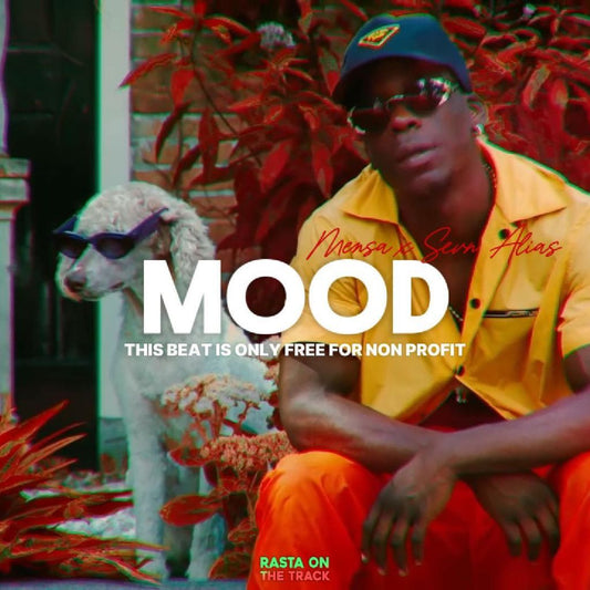 Mensa x Sevn Alias - ''Mood'' | Afro Swing Type Beat |